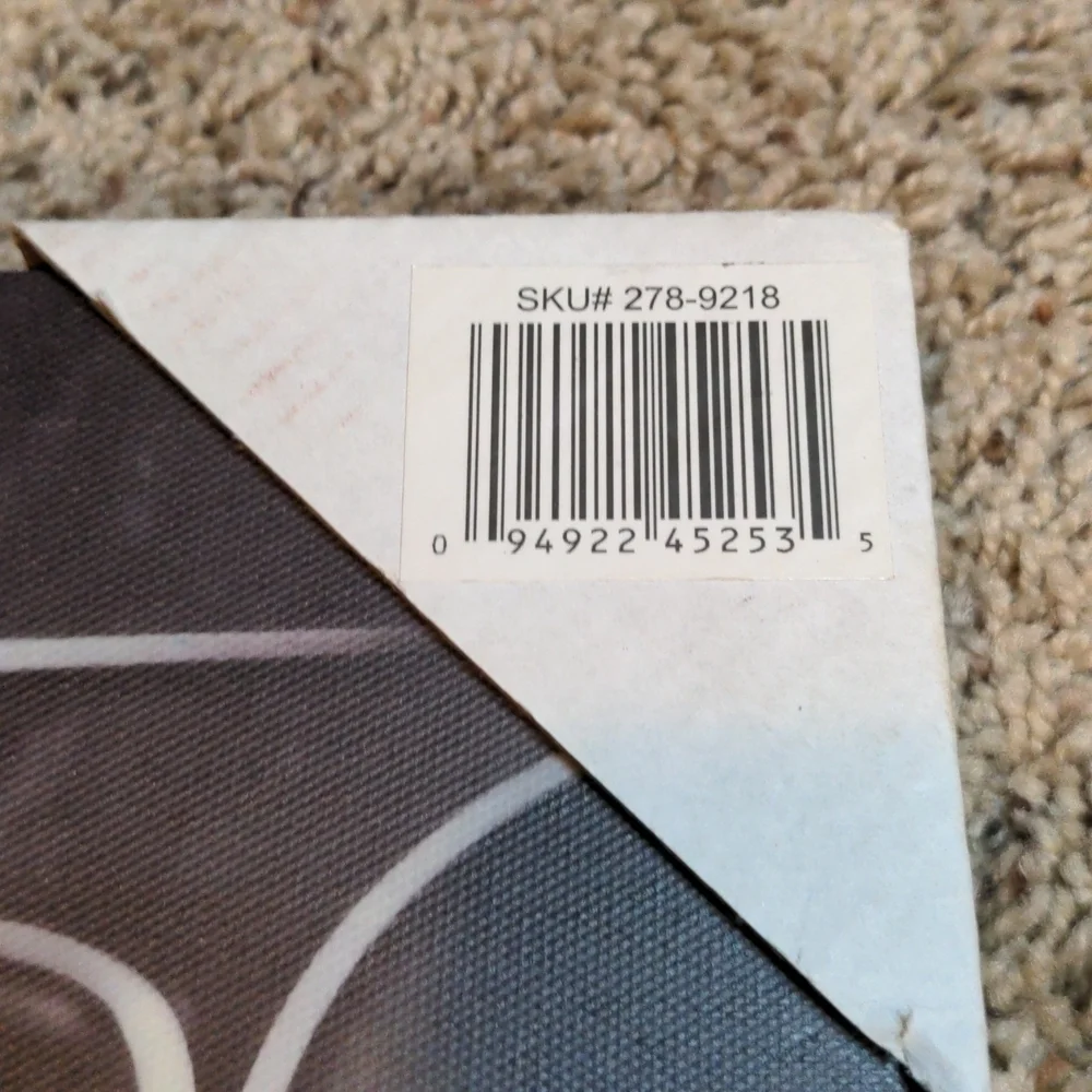 NWT 🔆Art Deco 12x12 Modern Canvas Sunglass Reflection | Black & White